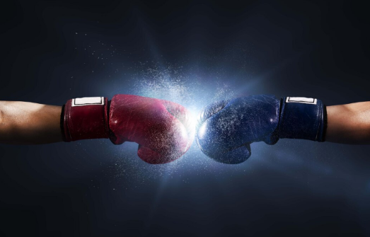 Balazs Boxing Gloves Hitting