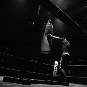 boxer punching bag