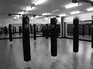 ULTRA-TRAK™ - MH0350 - BALAZS-MH0350-ULTRA-TRAK-DOUBLE-TRACK