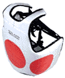 Chest Protector