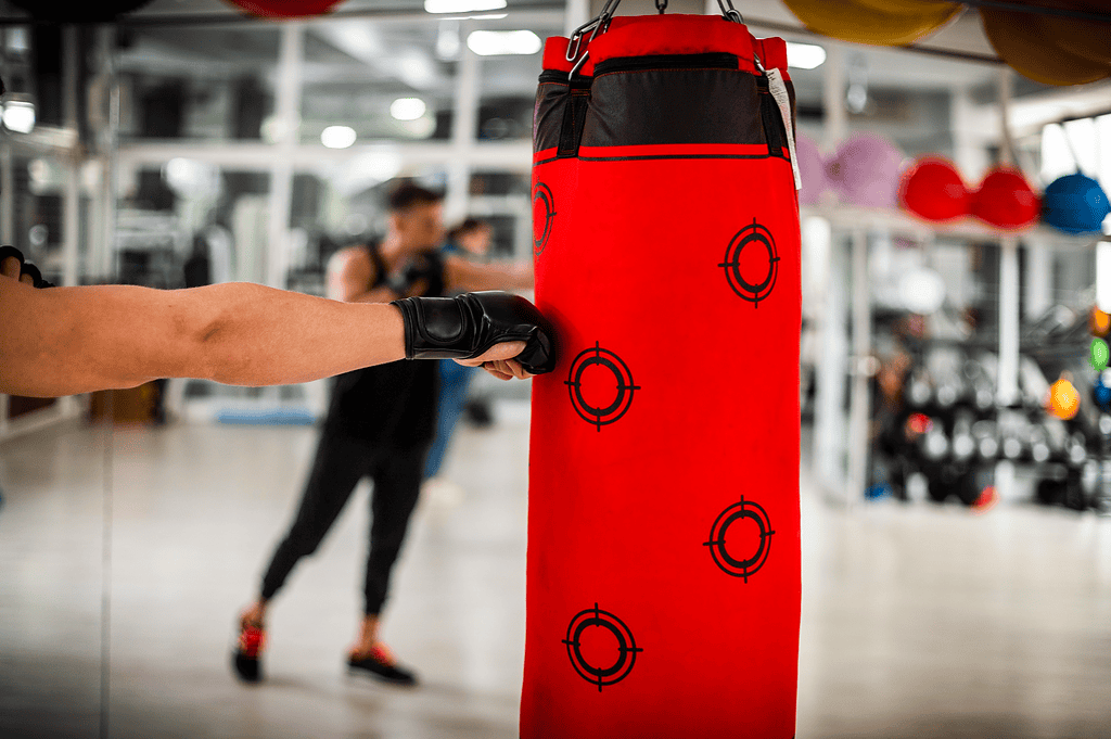 best free-standing punching bag

