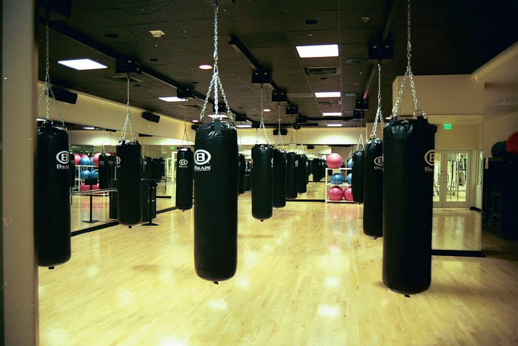 Balazs heavy bags hanging in a row from an Ultra-Trak ceiling track in a mirrored studio