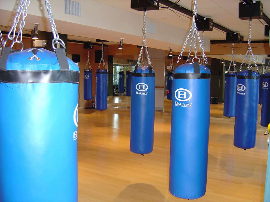 Blue Balazs heavy bags deployed on an Ultra-Trak ceiling track over a maple studio floor
