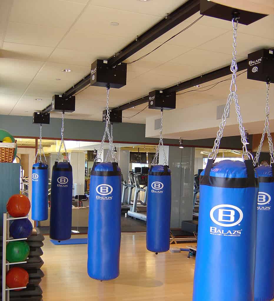 Studio with blue Balazs heavy bags on an Ultra-Trak track, mirrors and maple flooring